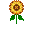 Novaflowerplant.png