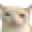 Autowiki-gaticobruh wiki emoji.png